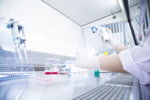 Scientist with working at the laboratory
